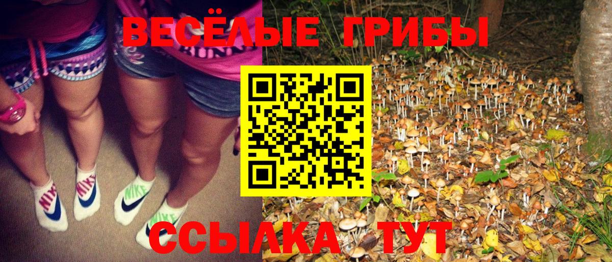 Галлюциногенные грибы Cubensis  Вход с VPN  Артёмовский 